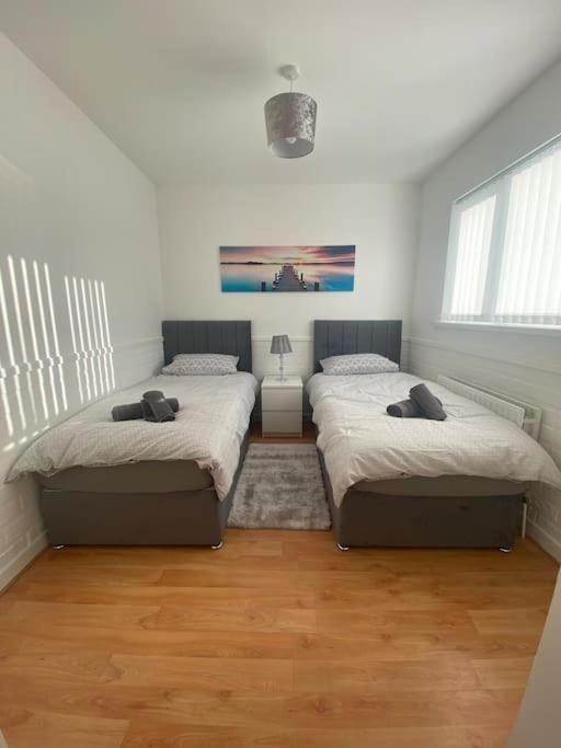 Modern Two Bed House Close To City Centre Belfast Ngoại thất bức ảnh