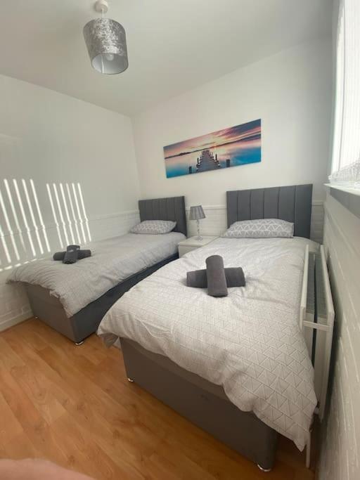 Modern Two Bed House Close To City Centre Belfast Ngoại thất bức ảnh