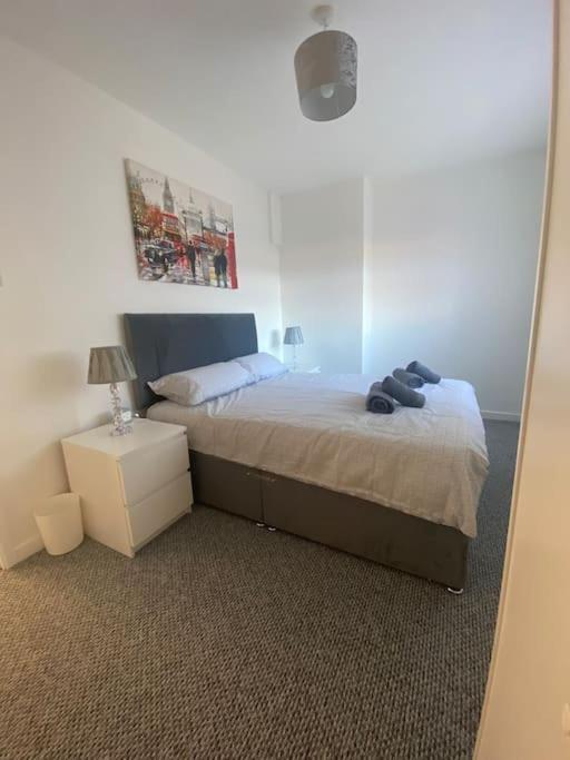 Modern Two Bed House Close To City Centre Belfast Ngoại thất bức ảnh